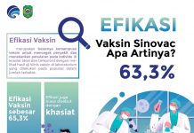 EFIKASI VAKSIN SINOVAC