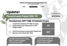 Update Penerimaan Pajak PBB-P2 Tanggal 5 November 2024