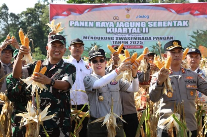 7C58ED06-0829-43E5-95BF-75C2D226E676