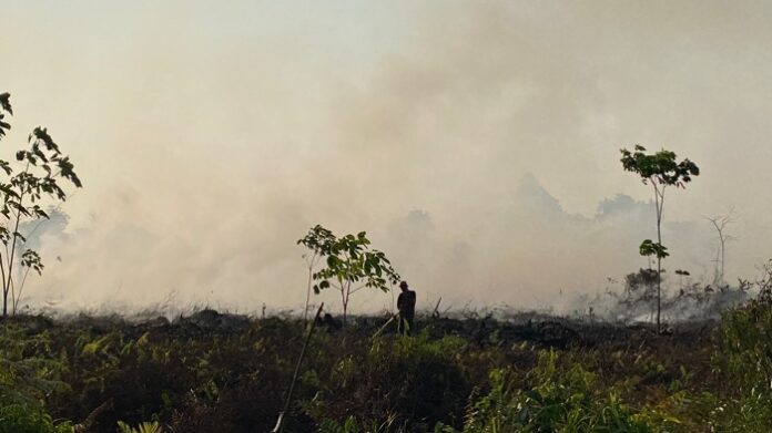 2B4F5410-6613-4AD8-816E-9E03B8A1A98F