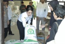 Penyaluran Perdana Bantuan Pangan Digelar di Roban, Sasar 11.585 Warga