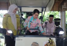 Pemkot Singkawang Salurkan Bantuan Alsintan untuk Perkuat Ketahanan Pangan